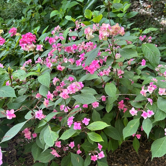 offers! please - Picture 2 of 2